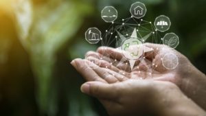 Les efforts mis en place par les artisans pour réduire leur impact environnemental